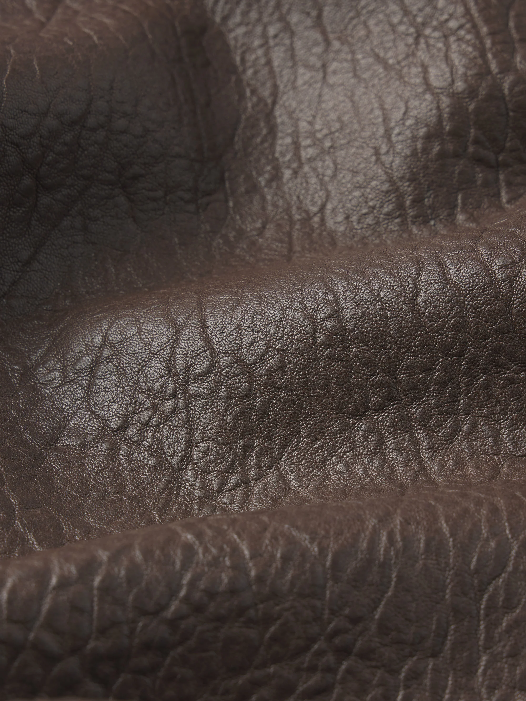 Textured Leather Bomber -- Cafe - Image 7