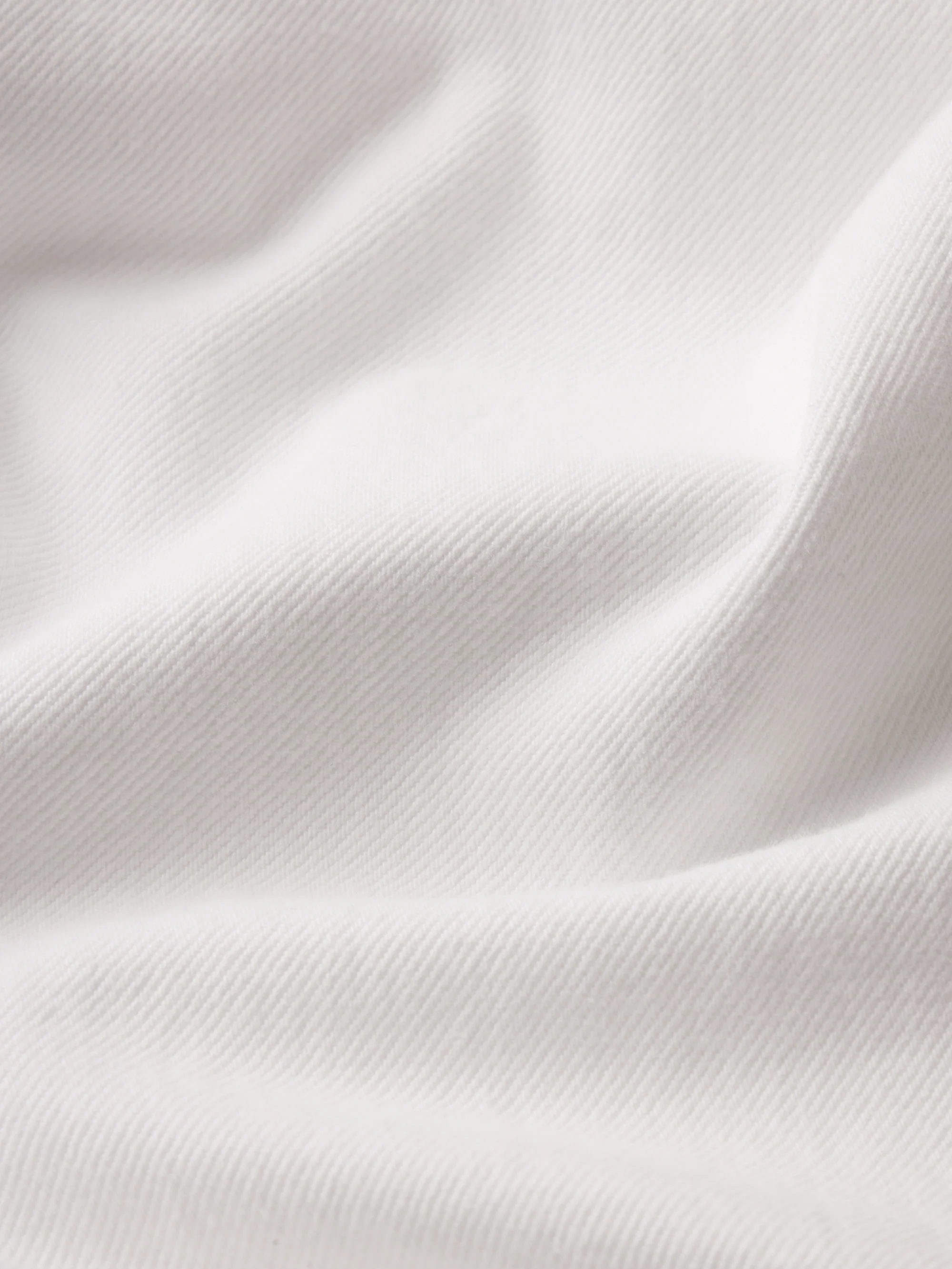 The Loose -- White Destruct - Image 7