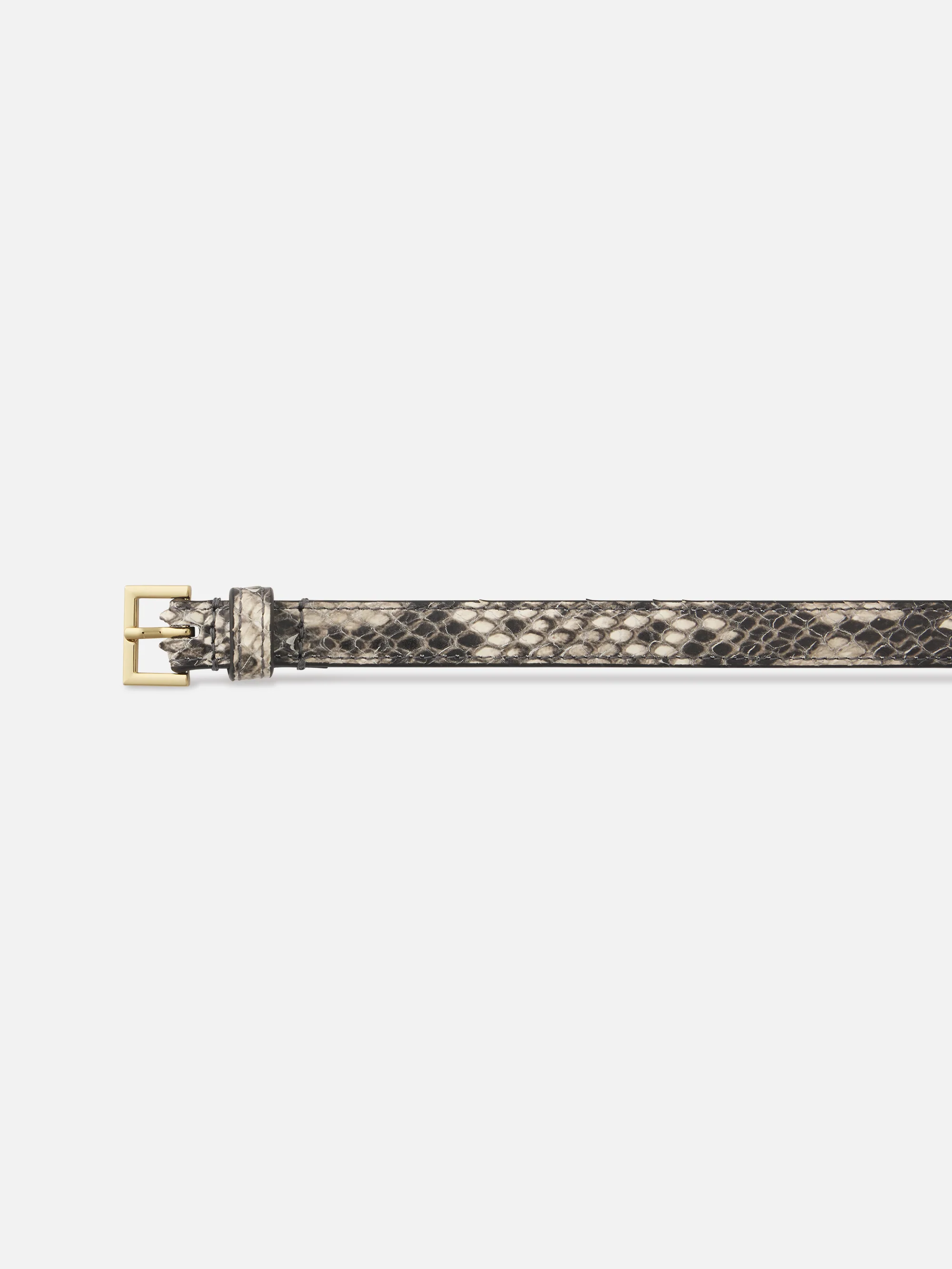 The Petite Square Buckle Belt -- Snakeskin - Image 2